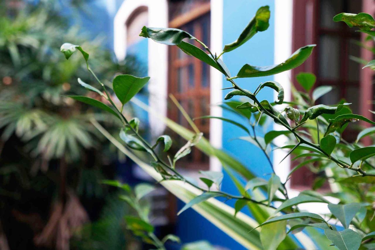 Hotel Zibamba Sao Francisco do Sul Εξωτερικό φωτογραφία